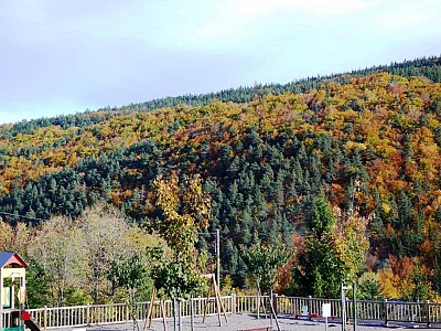 Automne_allenc (10)